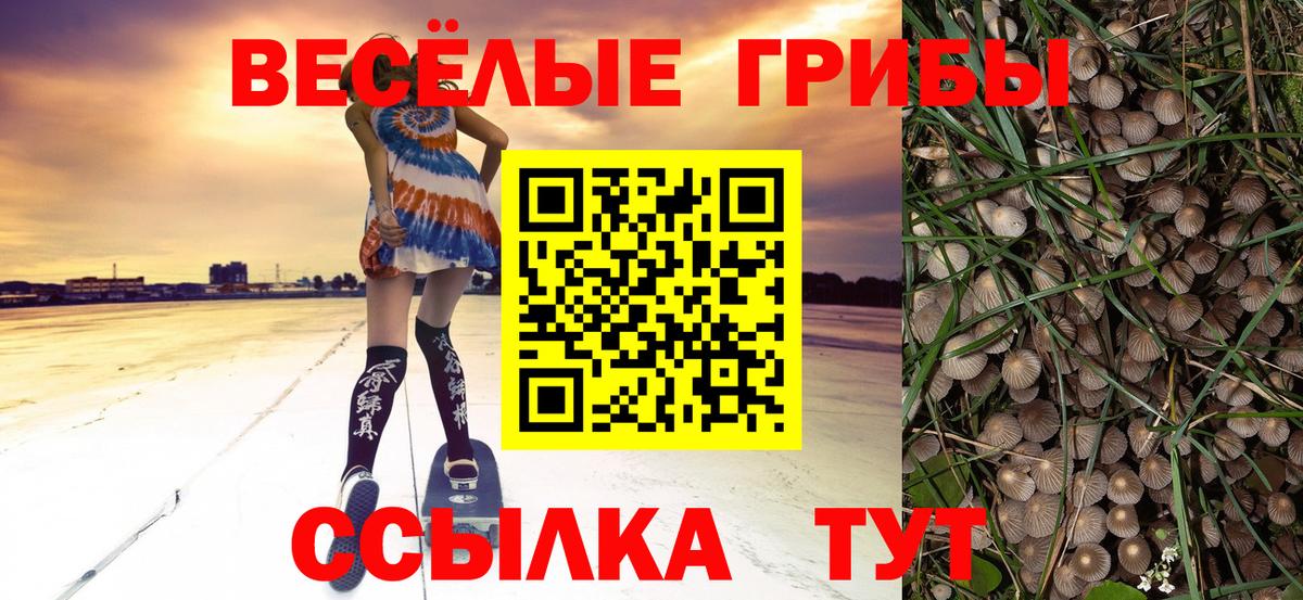 Галлюциногенные грибы GOLDEN TEACHER Улан-Удэ