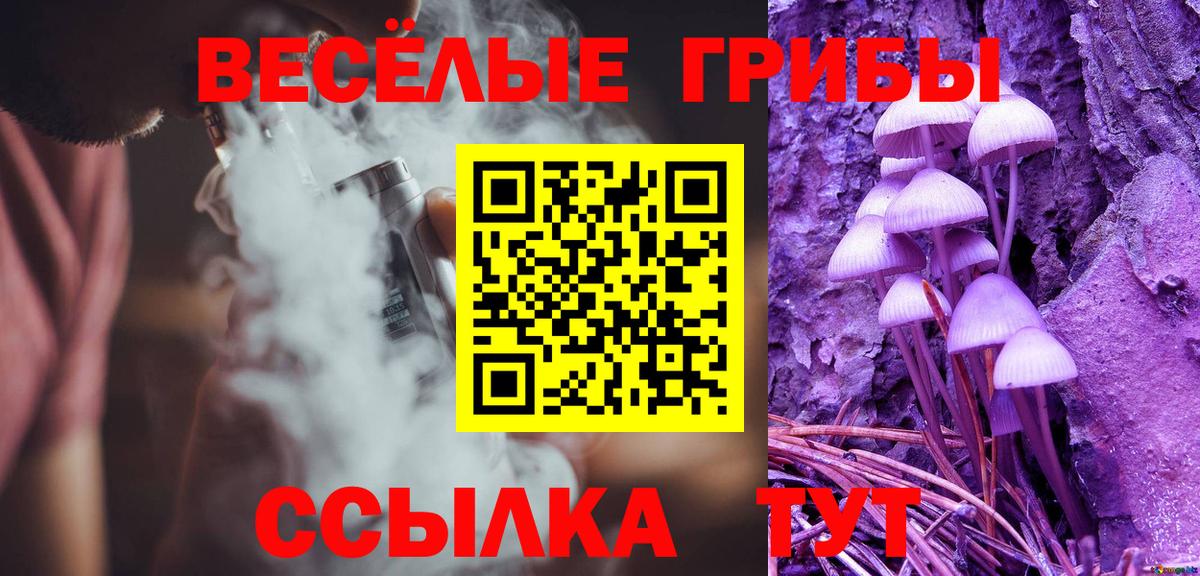 Галлюциногенные грибы прущие грибы  как найти   Псилоцибиновые грибы мицелий  Улан-Удэ 