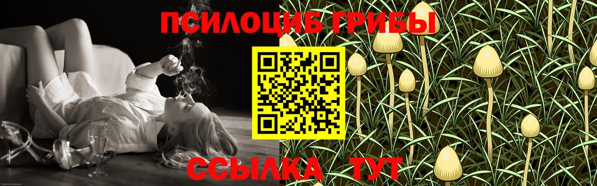 Галлюциногенные грибы мицелий Улан-Удэ