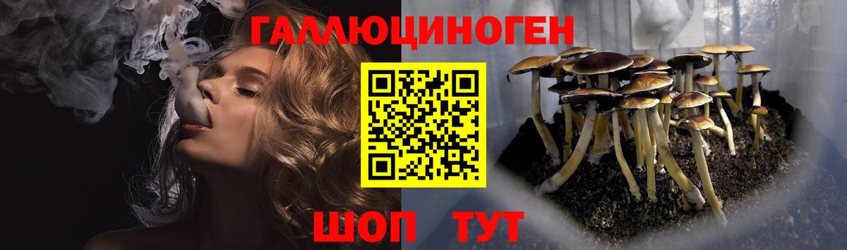 Псилоцибиновые грибы MAGIC MUSHROOMS  Вход с VPN  Улан-Удэ  Галлюциногенные грибы мицелий 